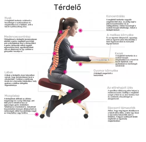 Ergonomikus térdelőszék, krémszínű/bükkfa, GROCO
