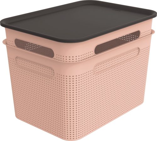 ROTHO  Brisen pink műanyag tároló doboz szett tetővel 2X16 L - rózsaszín