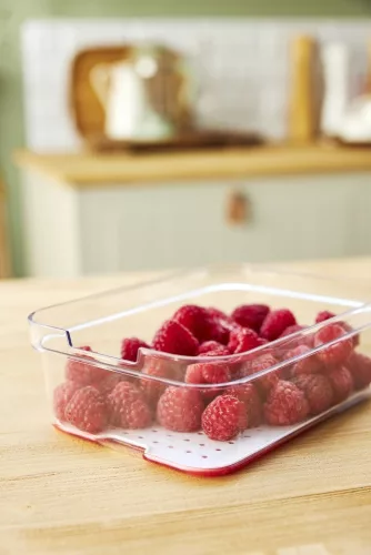 Rotho Cauma rendszerező doboz hűtőbe, 1,15 L - átlátszó