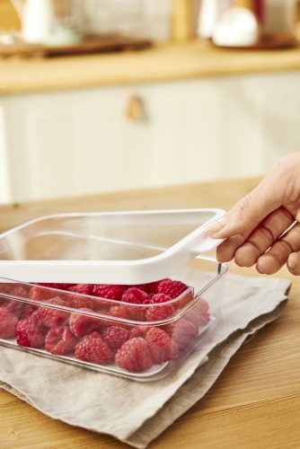 Rotho Cauma rendszerező doboz hűtőbe, 1,3 L - átlátszó