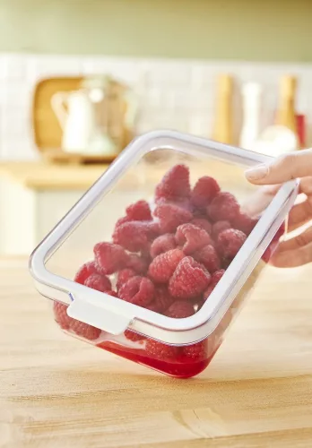 Rotho Cauma rendszerező doboz hűtőbe, 2,6 L - átlátszó