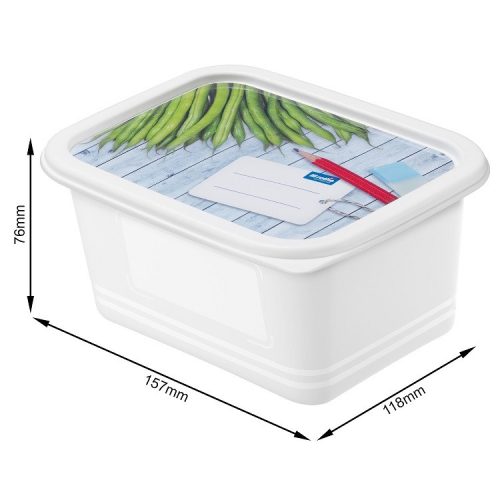 Rotho Domino műanyag tárolódoboz készlet fagyasztóba, 4X0,75 L 