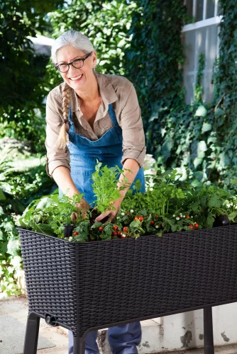 Keter Easy grow polyrattan virágláda - barna