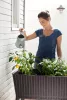 Keter Easy grow polyrattan virágláda - barna