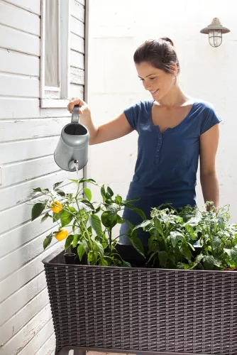 Keter Easy grow polyrattan virágláda - barna