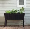 Keter Easy grow polyrattan virágláda - grafit 