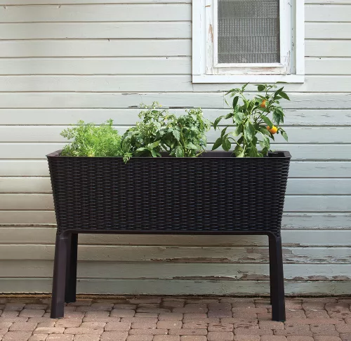 Keter Easy grow polyrattan virágláda - grafit 