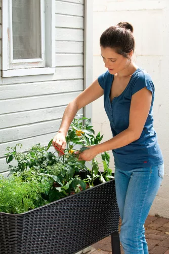 Keter Easy grow polyrattan virágláda - grafit 