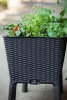 Keter Easy grow polyrattan virágláda - grafit 