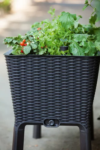 Keter Easy grow polyrattan virágláda - grafit 