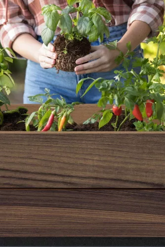 Keter DECO ELEVATED GARDEN BED magaságyás – önöntöző, walnut, 113×47,5×156 cm