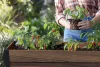Keter DECO ELEVATED GARDEN BED magaságyás – önöntöző, walnut, 113×47,5×156 cm
