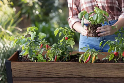 Keter DECO ELEVATED GARDEN BED magaságyás – önöntöző, walnut, 113×47,5×156 cm