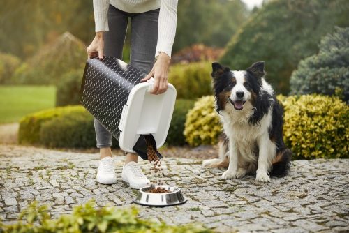 Rotho Cody "Dog with joy" műanyag táptartó 25 L - állatmintás