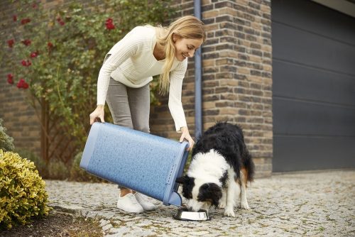 Rotho Cody műanyag táptartó 50 L - kék/állatmintás