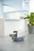 Rotho Eco bailey műanyag macska WC  - kék