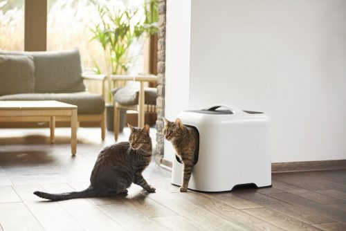 Rotho Biala műanyag macska wc, fehér