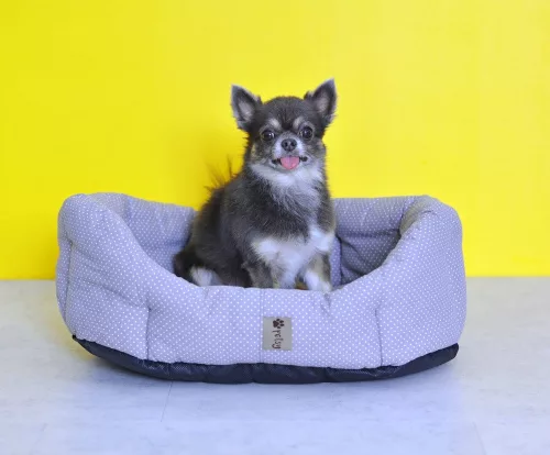 Petsy Punt'a kutya, macska pamut fekhely - 50 cm