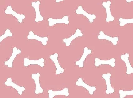 Petsy Bonnie 80 cm ovális pamut párna kutyák részére