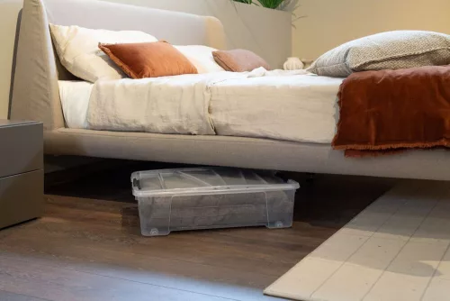 Dea Home Jolly ágy alatti tárolódoboz fedéllel 25 literes - átlátszó
